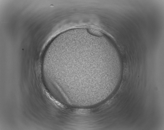 X0000078871506200612111700