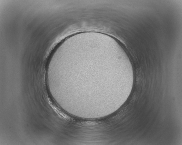 X0000078871507200612111700