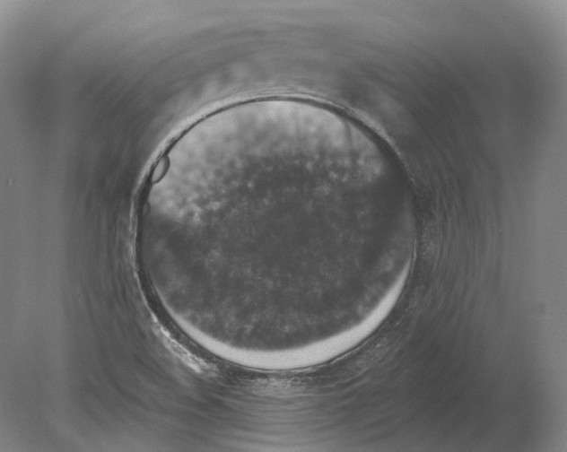 X0000078871508200612111700