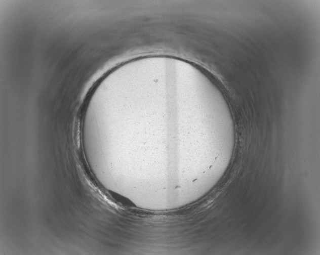 X0000078871510200612111700