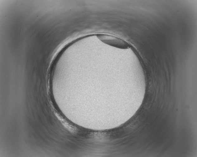 X0000078871511200612111700