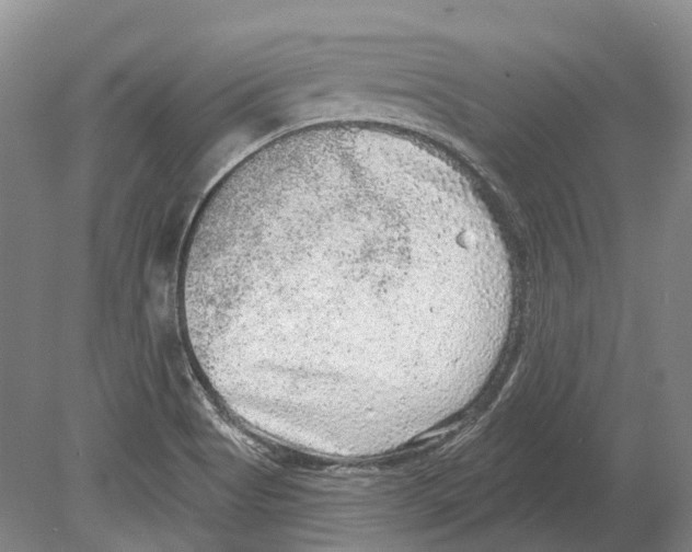 X0000078871513200612111700