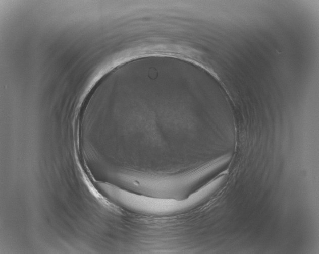 X0000078871515200612111700