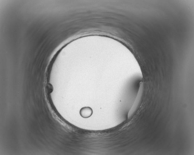 X0000078871518200612111700