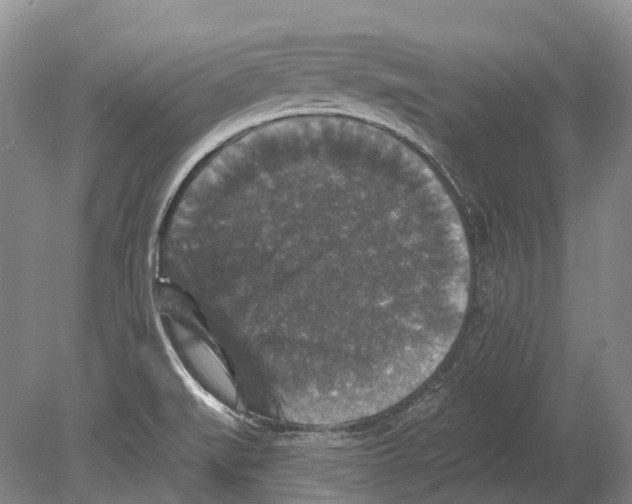 X0000078871519200612111700