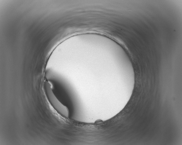 X0000078871524200612111700