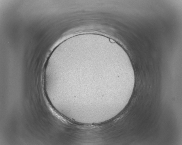 X0000078871526200612111700