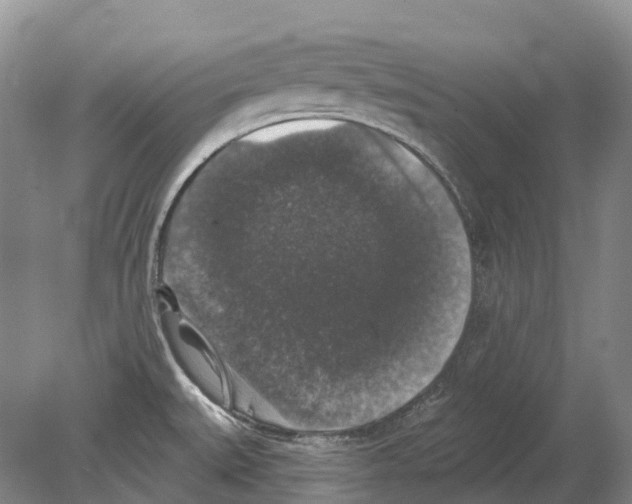 X0000078871527200612111700