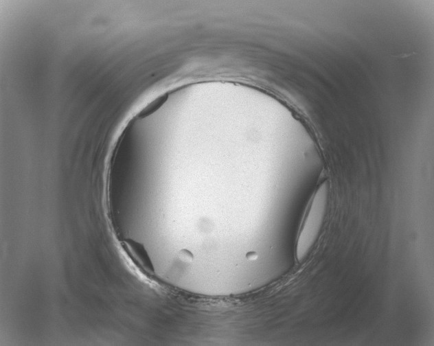 X0000078871528200612111700