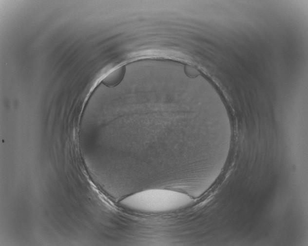 X0000078871529200612111700