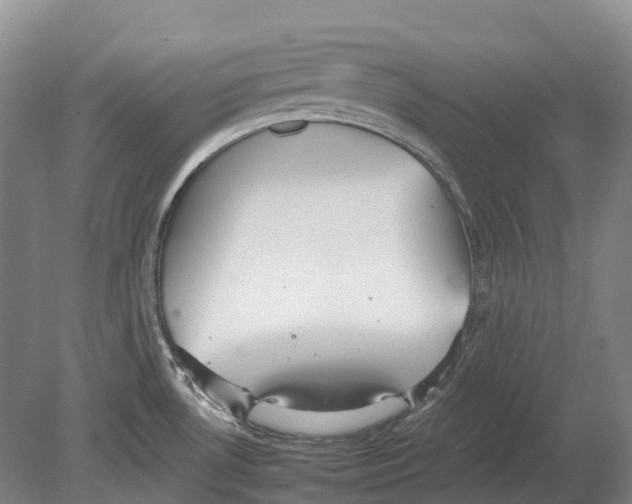 X0000078871530200612111700