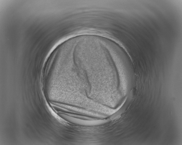 X0000078871531200612111700