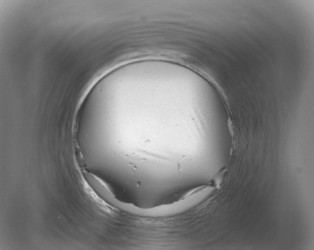 X0000078871532200612111700