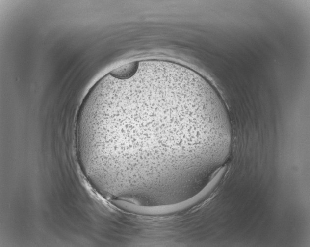 X0000078871534200612111700