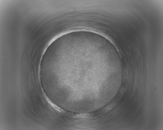 X0000078871535200612111700