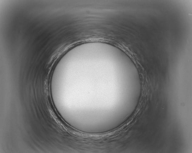 X0000078880002200611131106