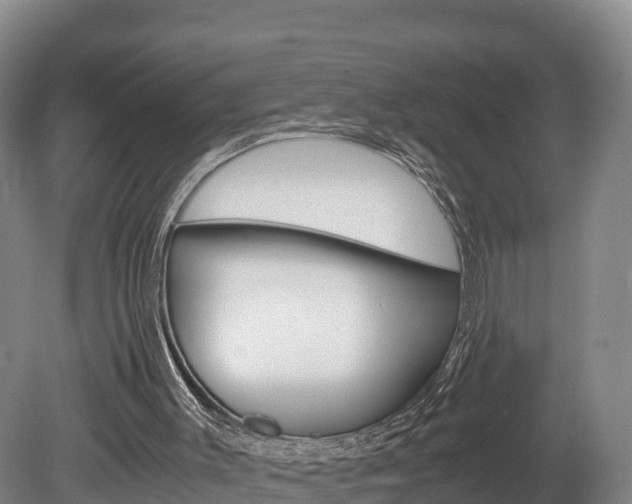 X0000078880003200611131106