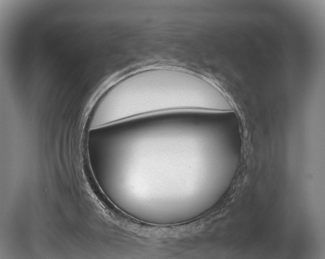 X0000078880007200611131106