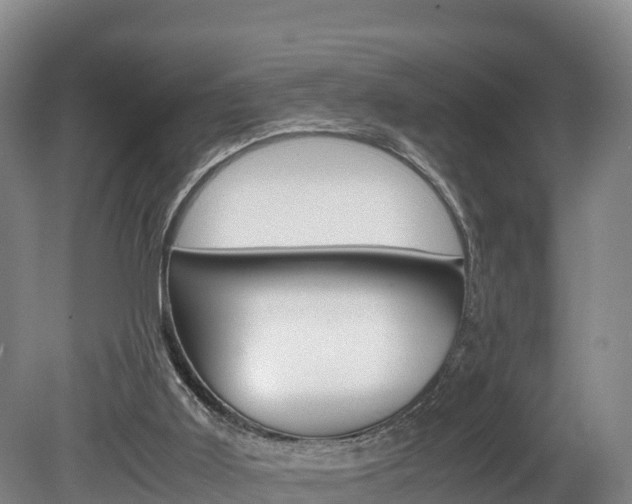 X0000078880011200611131106