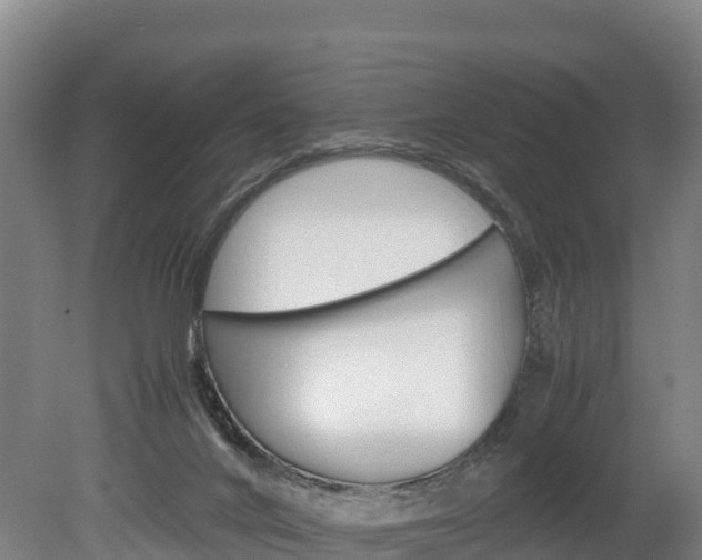 X0000078880024200611131105