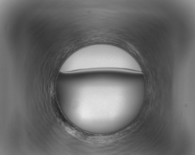 X0000078880025200611131105