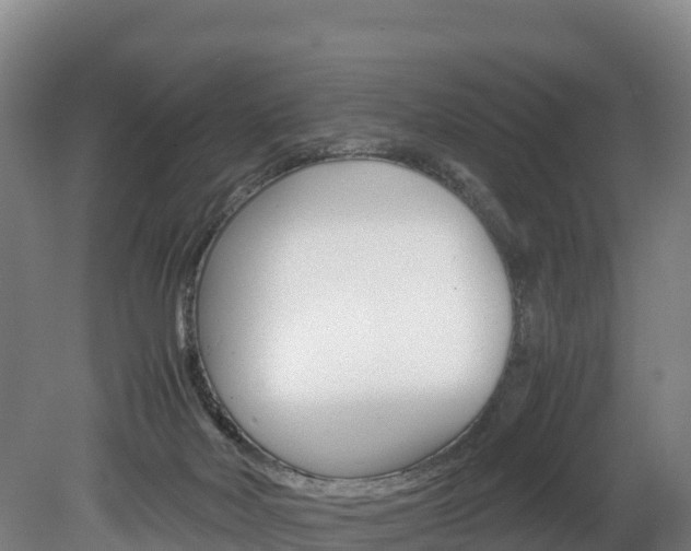 X0000078880026200611131105