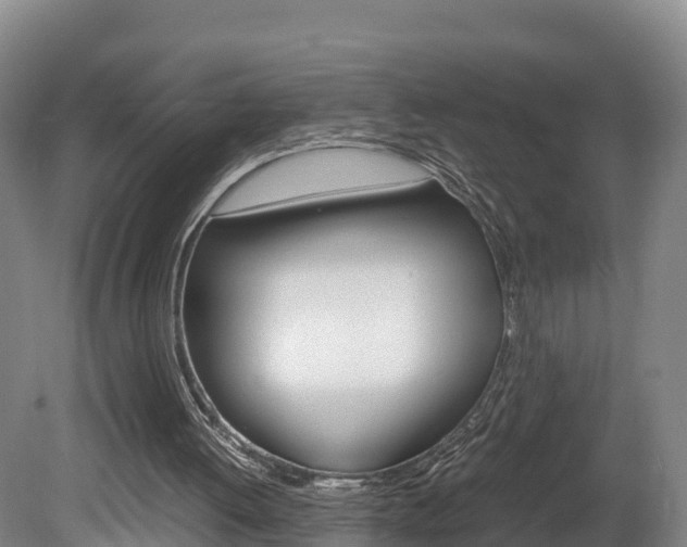 X0000078880052200611131104