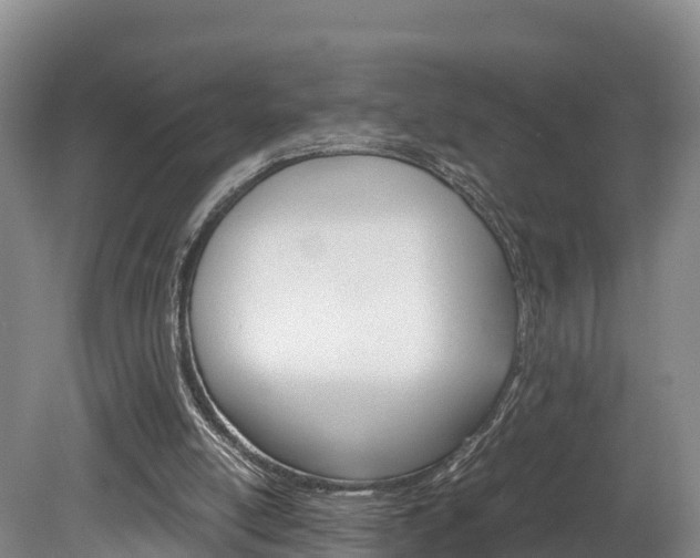 X0000078880054200611131104