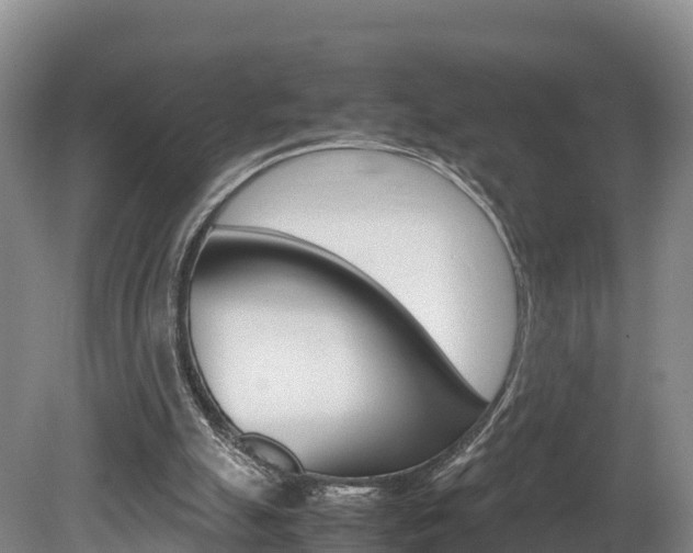 X0000078880055200611131104