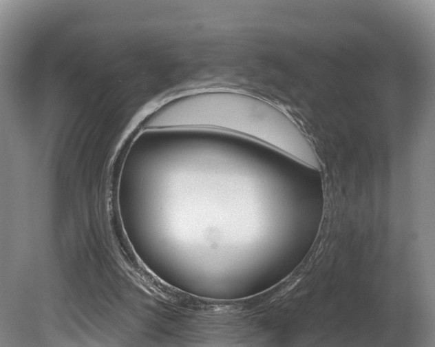 X0000078880056200611131104