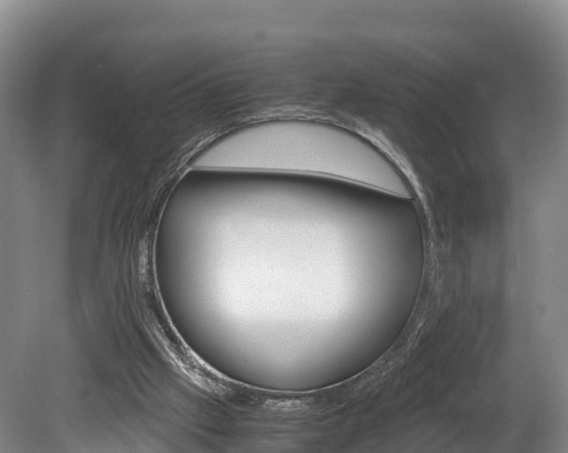 X0000078880057200611131104