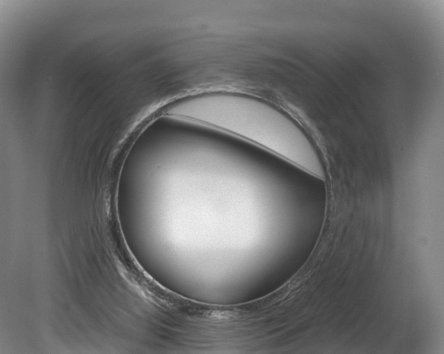 X0000078880060200611131104