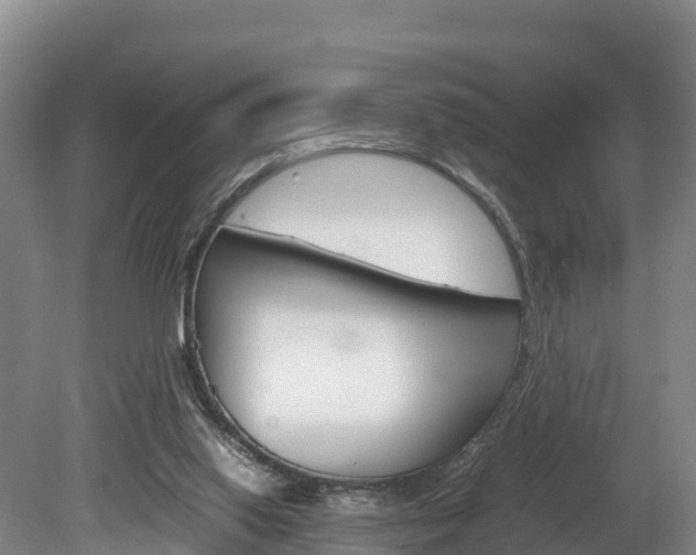 X0000078880062200611131104