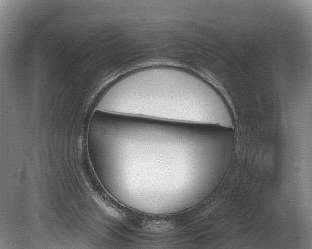 X0000078880063200611131104