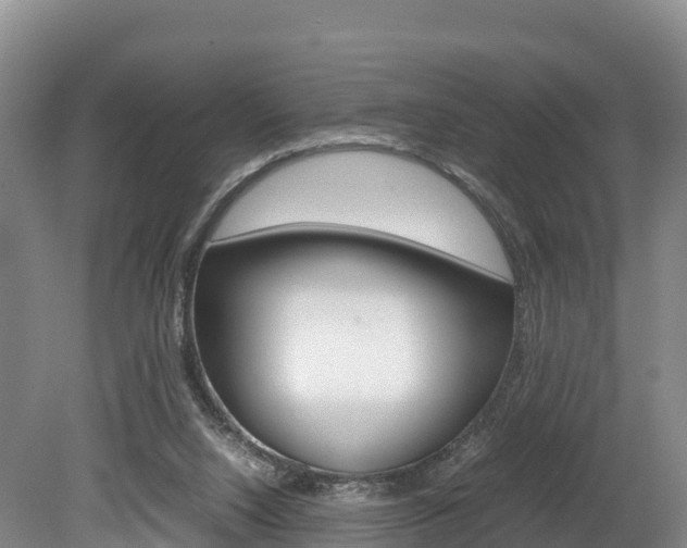 X0000078880064200611131104