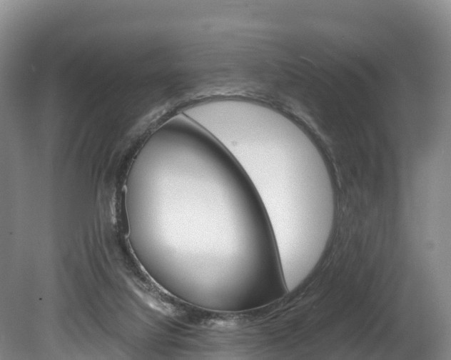 X0000078880068200611131104