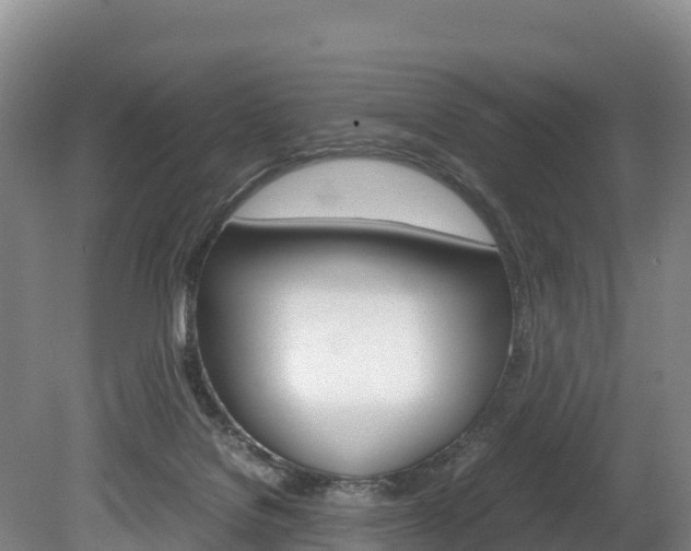 X0000078880076200611131105