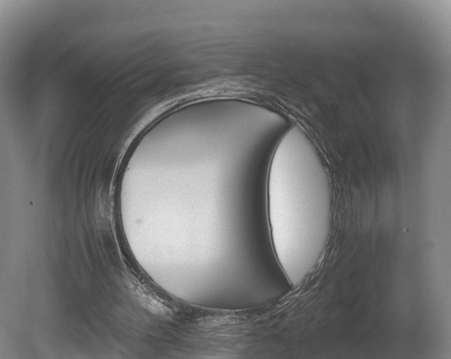X0000078880100200611131104