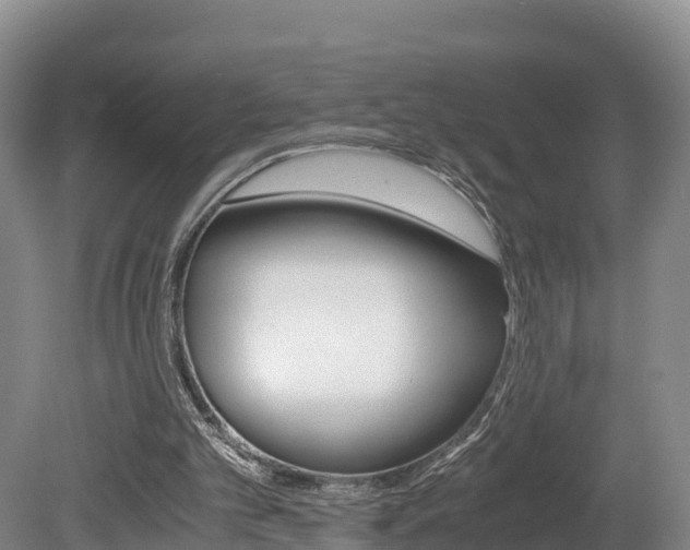 X0000078880101200611131104