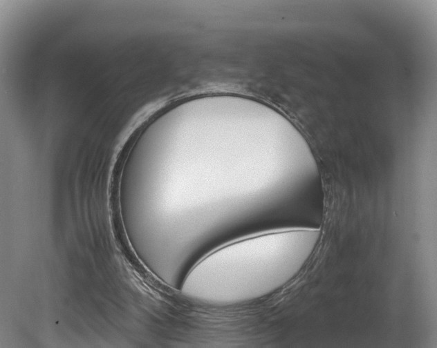 X0000078880104200611131104