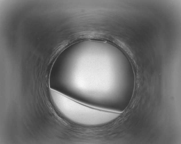 X0000078880105200611131104