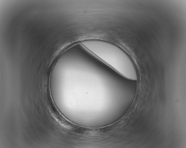 X0000078880107200611131104