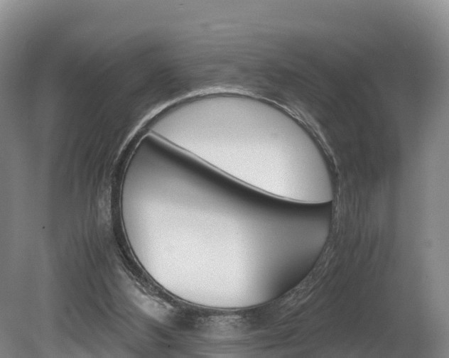 X0000078880108200611131104