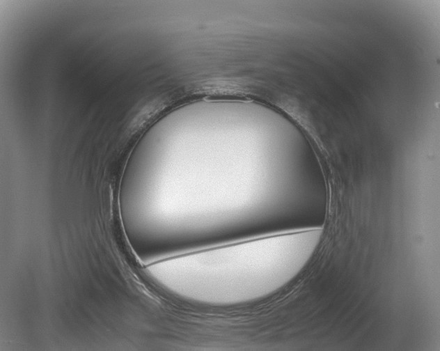 X0000078880109200611131104