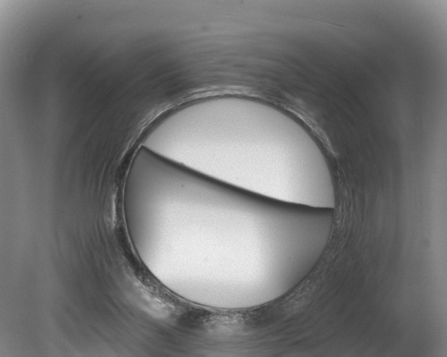 X0000078880110200611131104
