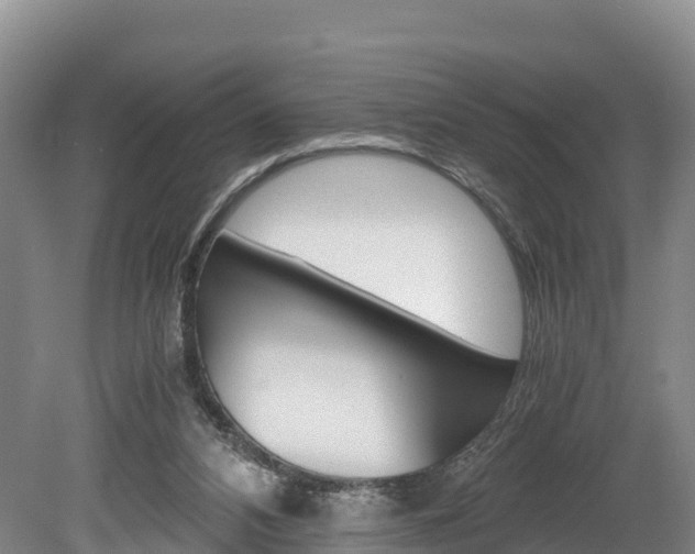X0000078880112200611131104