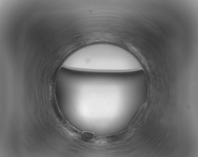 X0000078880113200611131104