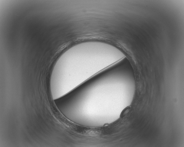X0000078880115200611131104