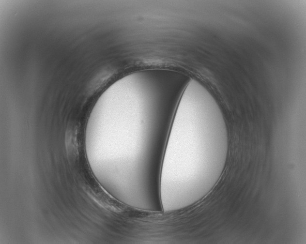 X0000078880116200611131104