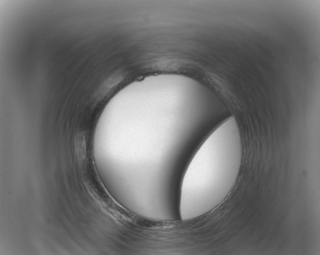 X0000078880120200611131104
